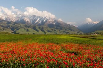 Vallée des fleurs de Kok Zhaiyk