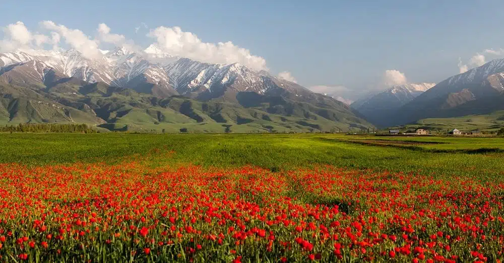 Kirghizistan-Kok-Zhaiyk