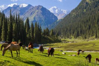 Les couleurs du Kirghizistan
