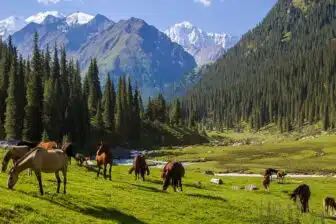 Kazakhstan & Kirghizistan : entre montagnes, lacs et traditions nomades – Image 3