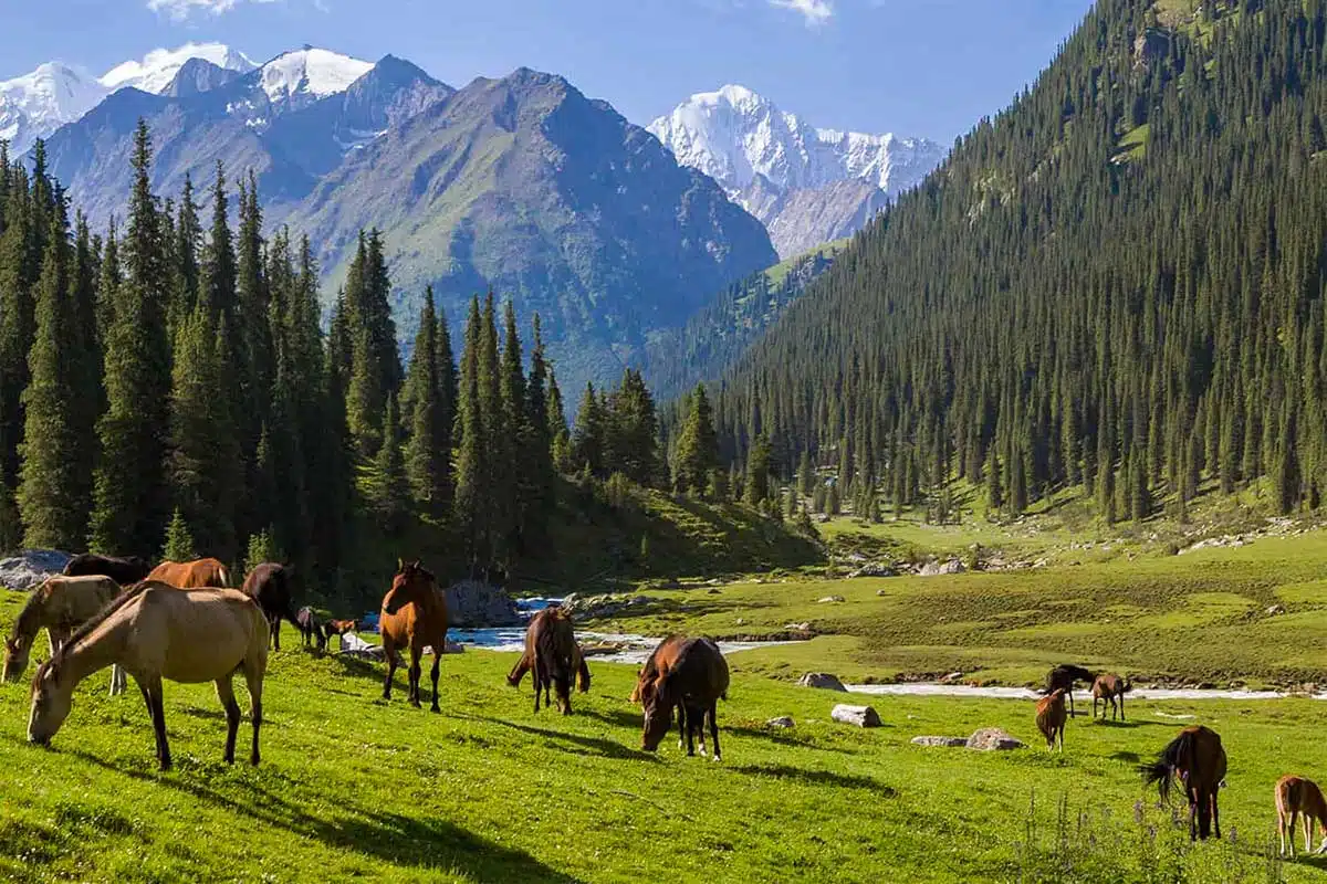 Kazakhstan & Kirghizistan : entre montagnes, lacs et traditions nomades – Image 3