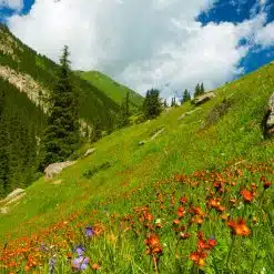 Vallee Altyn Arashan - Kirghizistan