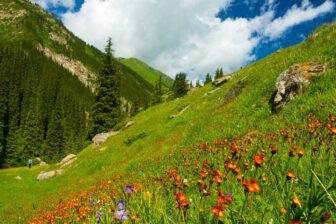 Vallee Altyn Arashan - Kirghizistan