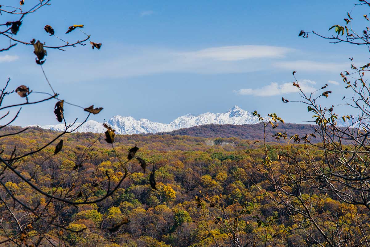 Forêt d'Arslanbob, Kirghizistan
