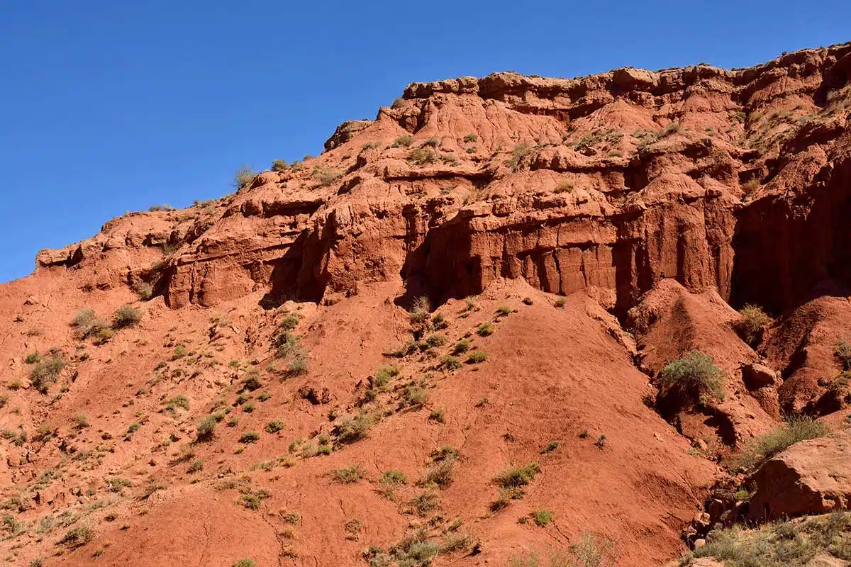 Canyon Konorchek