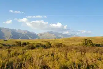 Vallée de Tchouï