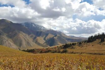 Vallée Eki Naryn, Kirghizistan