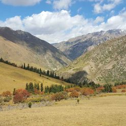 Vallée Eki Naryn, Kirghizistan