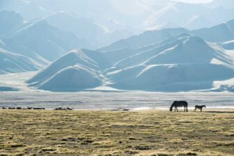 Les secrets du Kirghizistan