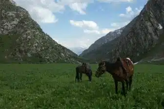 Randonnée équestre au Kirghizistan – Image 2